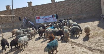 YOUR NAZR SACRIFICES ARE REACHING THEIR PLACE OF DESTINATION
