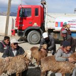 2015_kurban_sonrasi-1