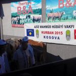 2015_kurban_sonrasi-14