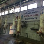 2016_kurban-43