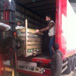 suriyekamplari2015-9