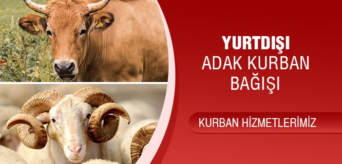YURTDIŞI ADAK KURBAN BAĞIŞI