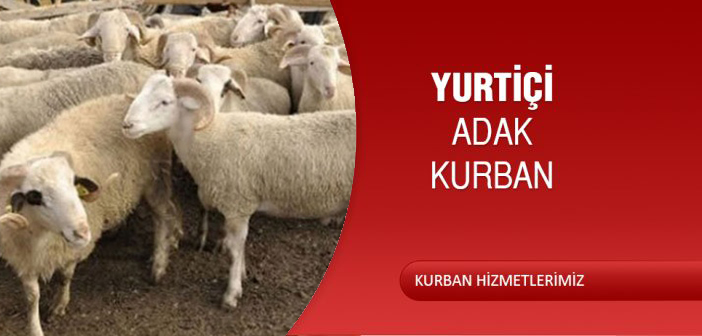 YURTİÇİ ADAK KURBAN