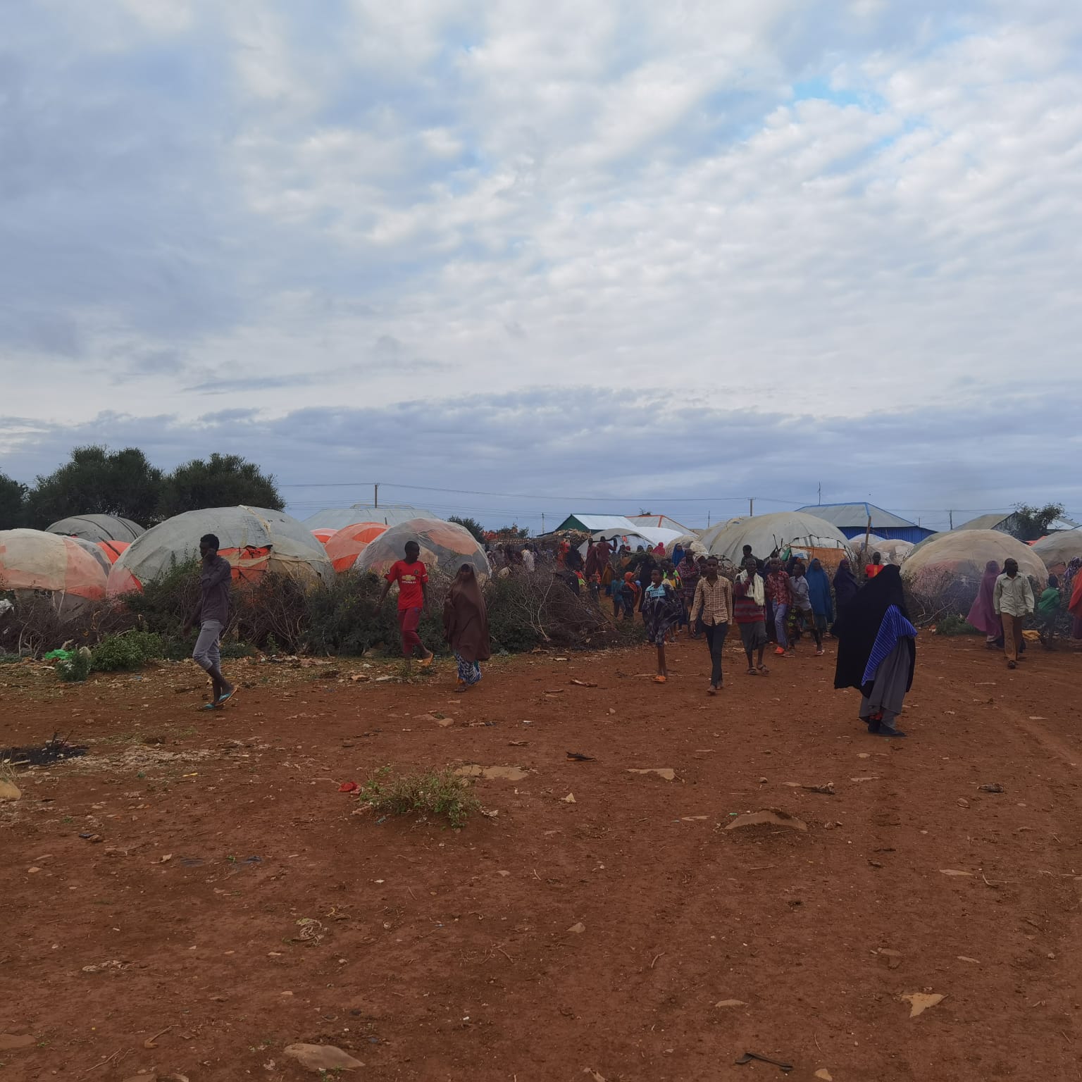 2022 YURT İÇİ VE YURT DIŞI KURBAN VİDEO VE FOTOĞRAFLARI