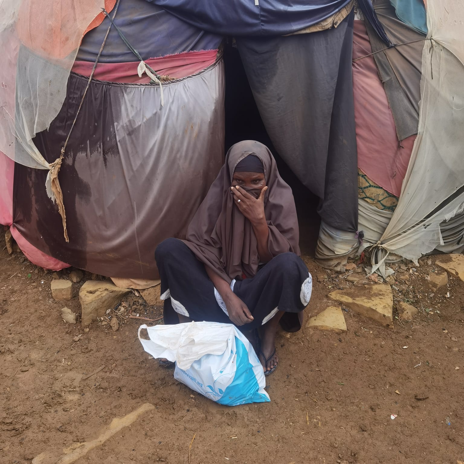 2022 YURT İÇİ VE YURT DIŞI KURBAN VİDEO VE FOTOĞRAFLARI