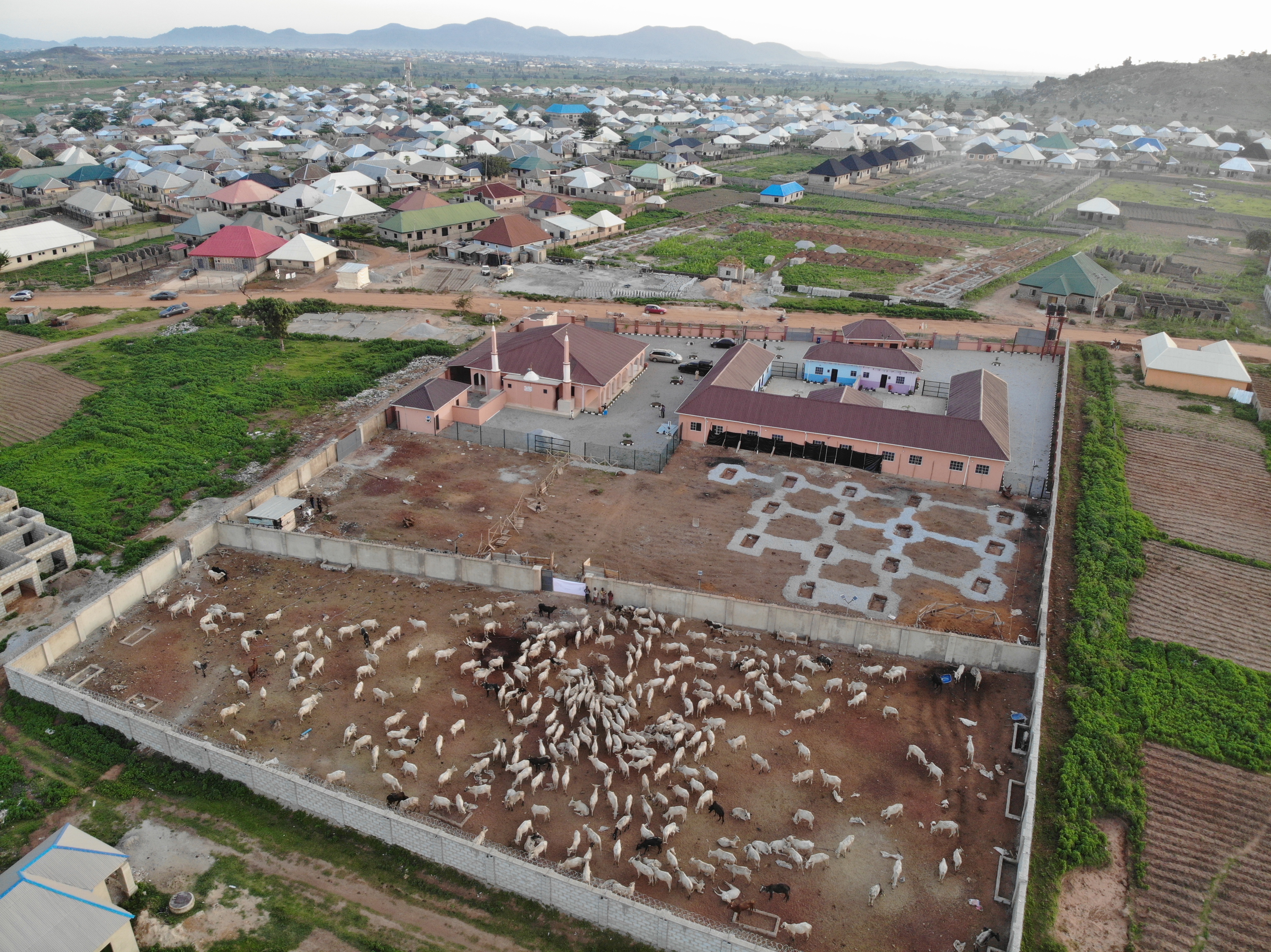 2022 YURT İÇİ VE YURT DIŞI KURBAN VİDEO VE FOTOĞRAFLARI