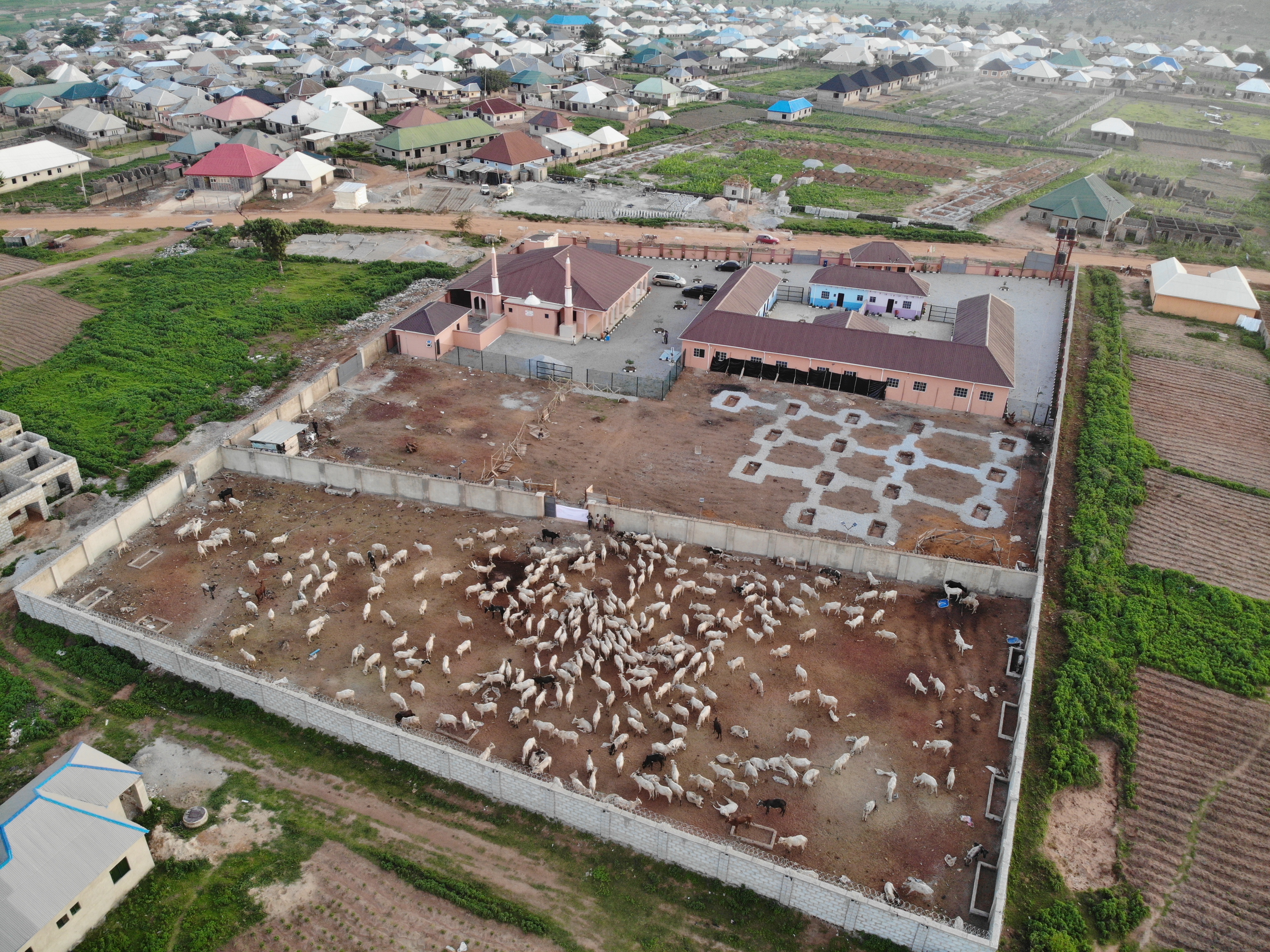 2022 YURT İÇİ VE YURT DIŞI KURBAN VİDEO VE FOTOĞRAFLARI