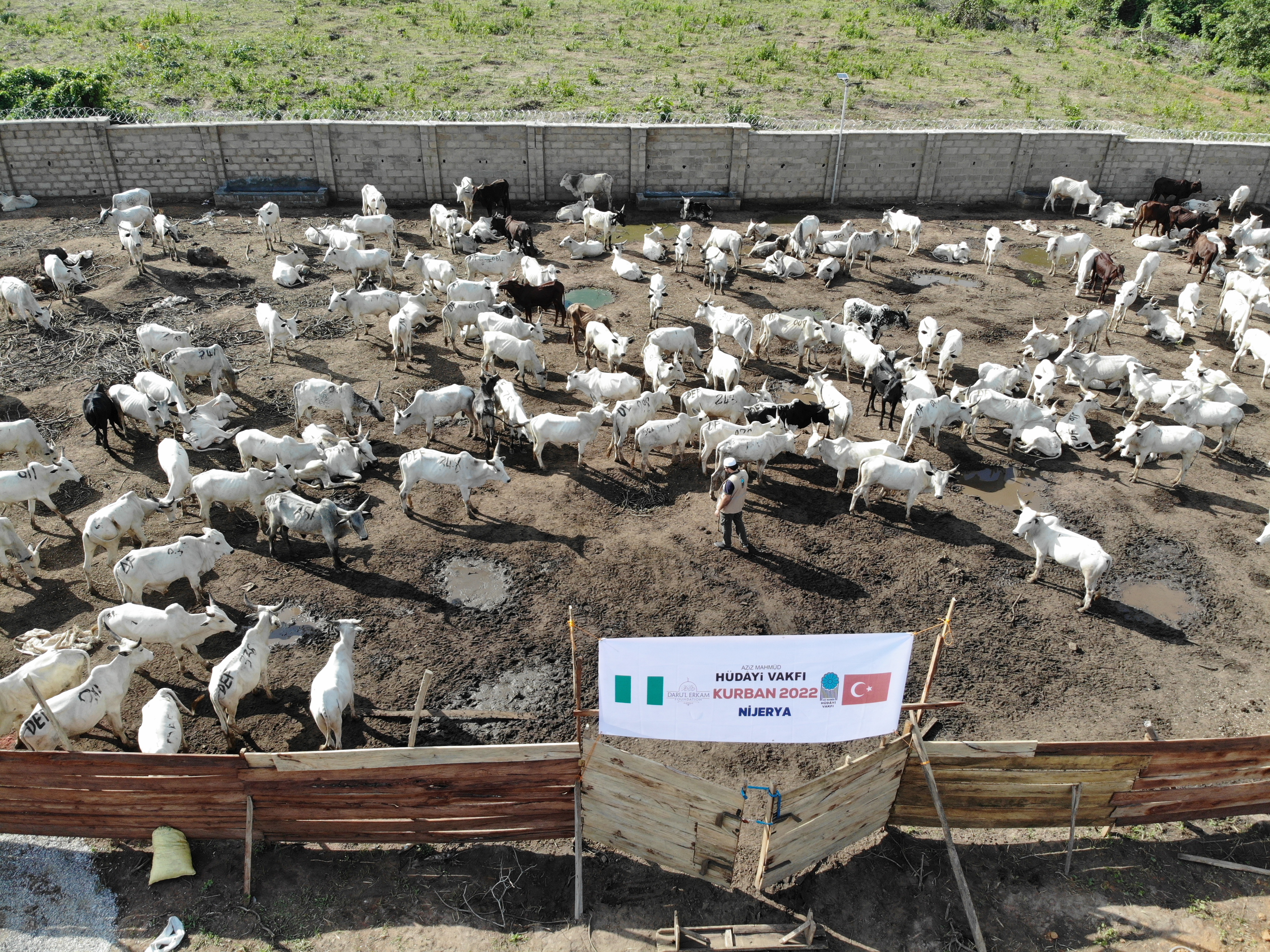 2022 YURT İÇİ VE YURT DIŞI KURBAN VİDEO VE FOTOĞRAFLARI