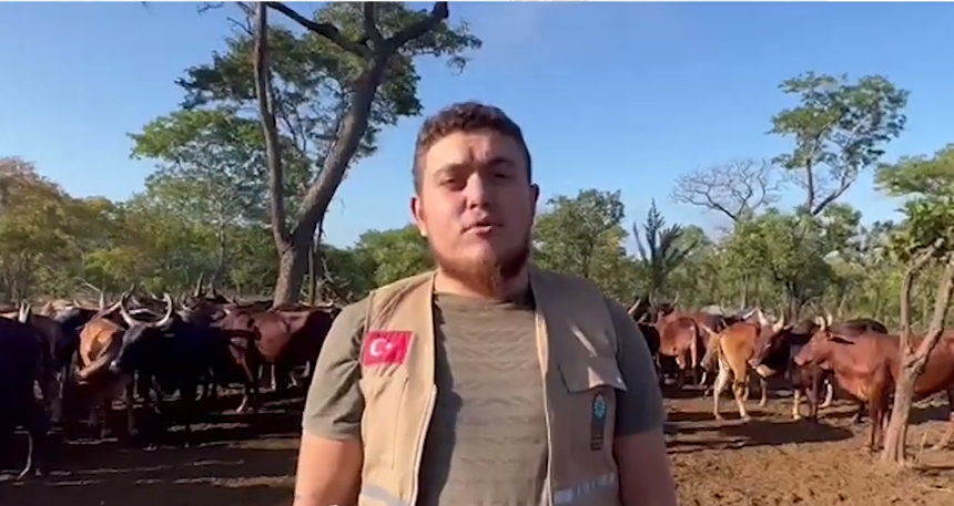 2022 YURT İÇİ VE YURT DIŞI KURBAN VİDEO VE FOTOĞRAFLARI