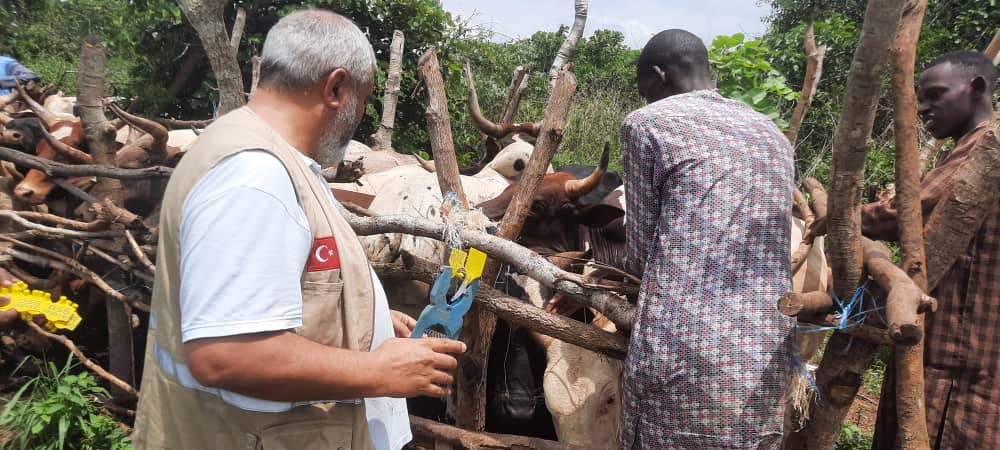 2022 YURT İÇİ VE YURT DIŞI KURBAN VİDEO VE FOTOĞRAFLARI
