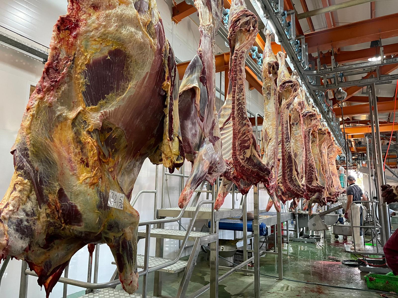 2022 YURT İÇİ VE YURT DIŞI KURBAN VİDEO VE FOTOĞRAFLARI