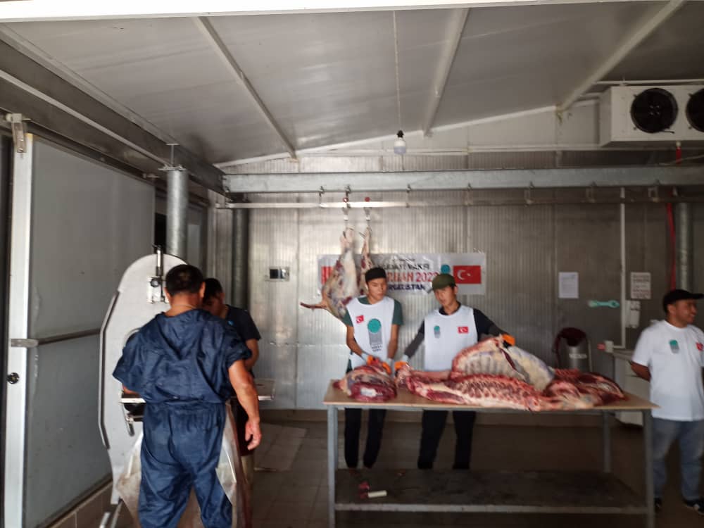 2022 YURT İÇİ VE YURT DIŞI KURBAN VİDEO VE FOTOĞRAFLARI