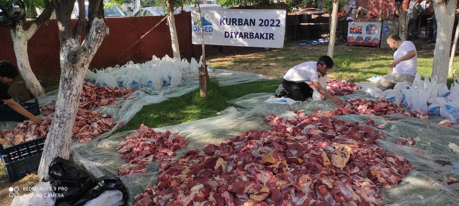 2022 YURT İÇİ VE YURT DIŞI KURBAN VİDEO VE FOTOĞRAFLARI
