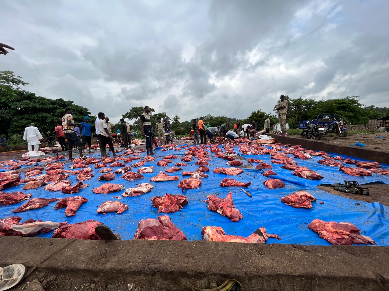 2022 YURT İÇİ VE YURT DIŞI KURBAN VİDEO VE FOTOĞRAFLARI