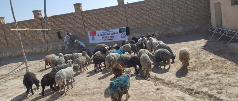 YOUR NAZR SACRIFICES ARE REACHING THEIR PLACE OF DESTINATION