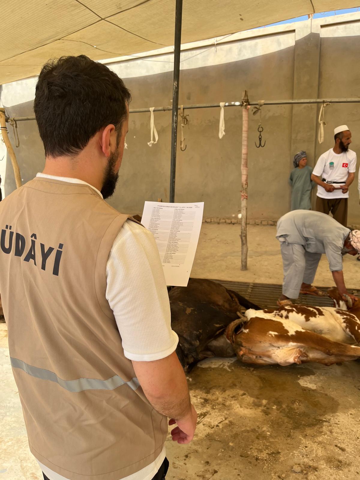 2026 Yurt İçi ve Yurt Dışı Kurban Hizmetlerimizden Video ve Fotoğraflar