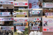 Mazluma Kurban Olsun! (2016 Kurban)