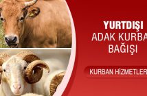 YURTDIŞI ADAK KURBAN BAĞIŞI