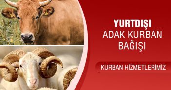 YURTDIŞI ADAK KURBAN BAĞIŞI
