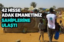 KESİLEN 42 HİSSE ADAK KURBANI NİJER’DE İHTİYAÇ SAHİPLERİNE ULAŞTIRILDI